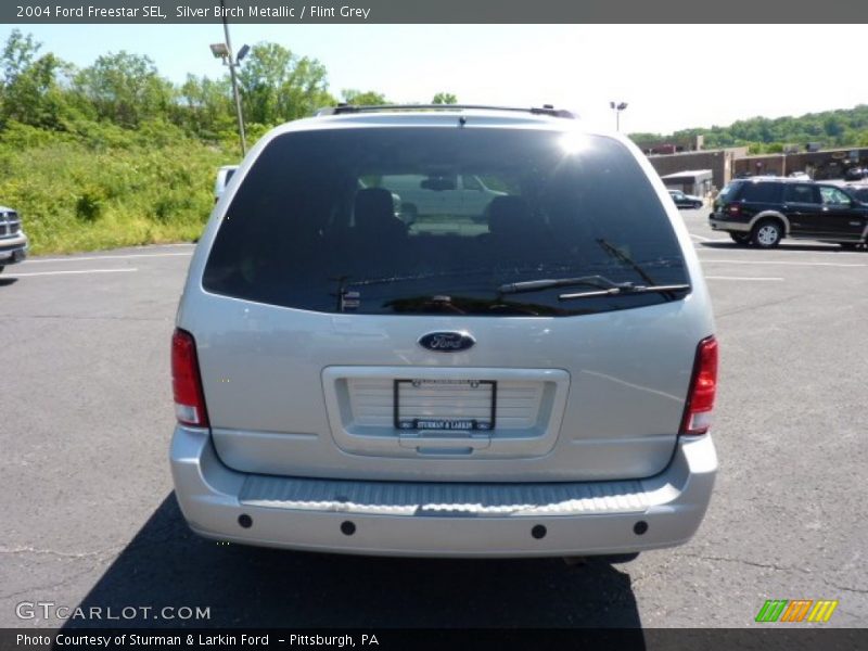 Silver Birch Metallic / Flint Grey 2004 Ford Freestar SEL
