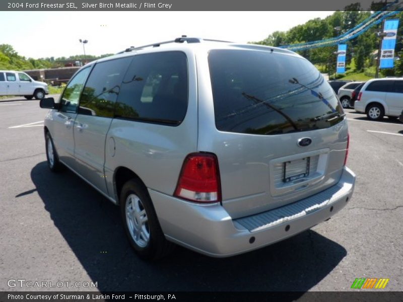 Silver Birch Metallic / Flint Grey 2004 Ford Freestar SEL