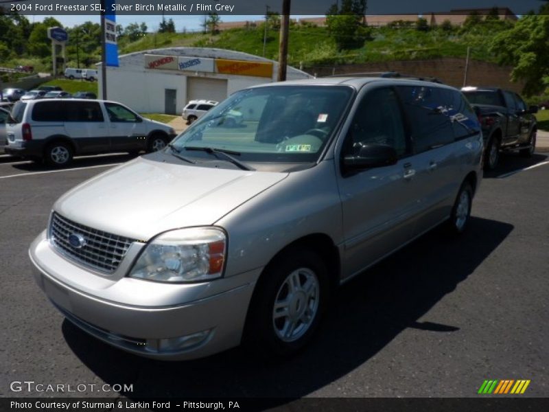 Silver Birch Metallic / Flint Grey 2004 Ford Freestar SEL