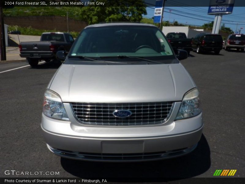 Silver Birch Metallic / Flint Grey 2004 Ford Freestar SEL