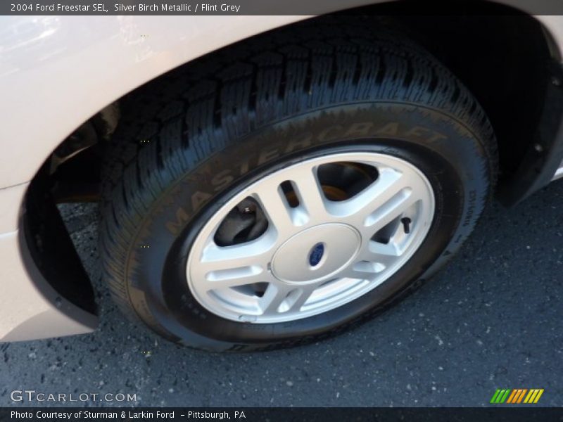 Silver Birch Metallic / Flint Grey 2004 Ford Freestar SEL