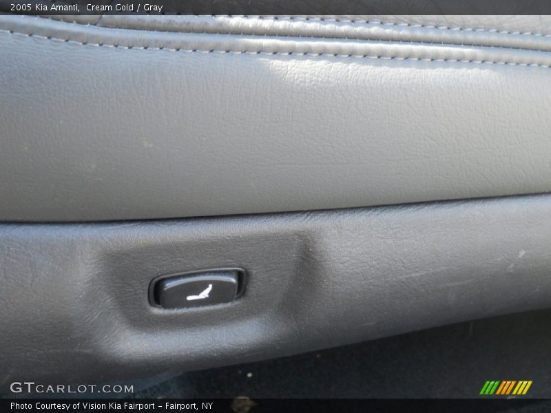 Cream Gold / Gray 2005 Kia Amanti