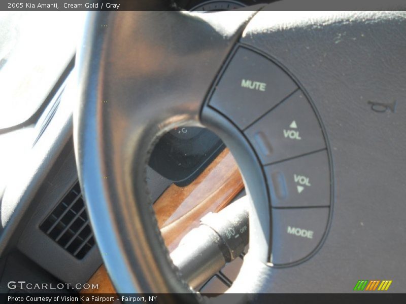 Cream Gold / Gray 2005 Kia Amanti