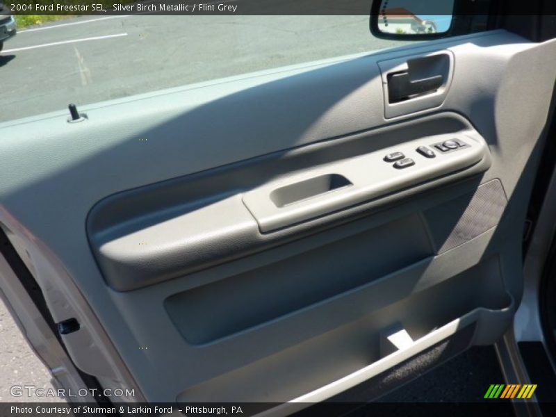 Silver Birch Metallic / Flint Grey 2004 Ford Freestar SEL