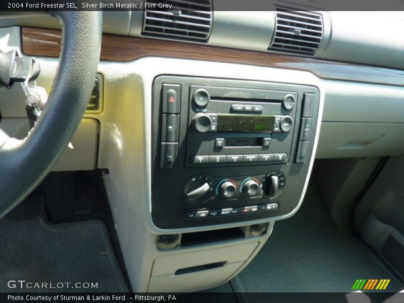 Silver Birch Metallic / Flint Grey 2004 Ford Freestar SEL