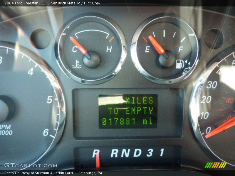 Silver Birch Metallic / Flint Grey 2004 Ford Freestar SEL