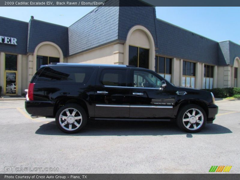 Black Raven / Ebony/Ebony 2009 Cadillac Escalade ESV
