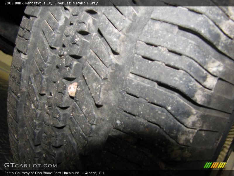 Silver Leaf Metallic / Gray 2003 Buick Rendezvous CX