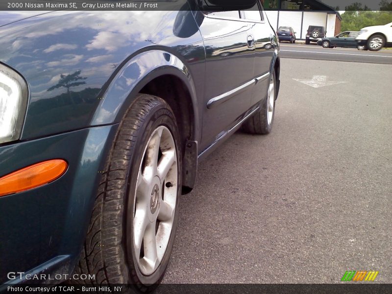 Gray Lustre Metallic / Frost 2000 Nissan Maxima SE