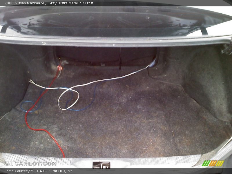 Gray Lustre Metallic / Frost 2000 Nissan Maxima SE