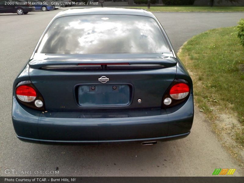 Gray Lustre Metallic / Frost 2000 Nissan Maxima SE