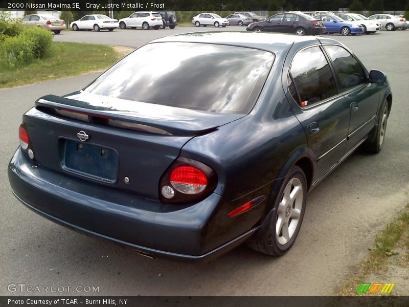 Gray Lustre Metallic / Frost 2000 Nissan Maxima SE