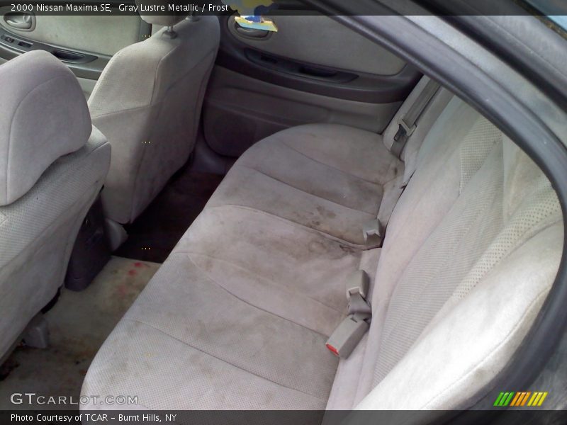 Gray Lustre Metallic / Frost 2000 Nissan Maxima SE