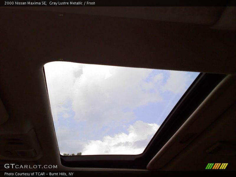 Gray Lustre Metallic / Frost 2000 Nissan Maxima SE