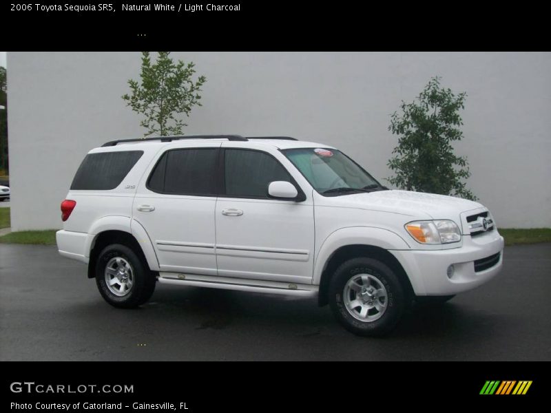 Natural White / Light Charcoal 2006 Toyota Sequoia SR5