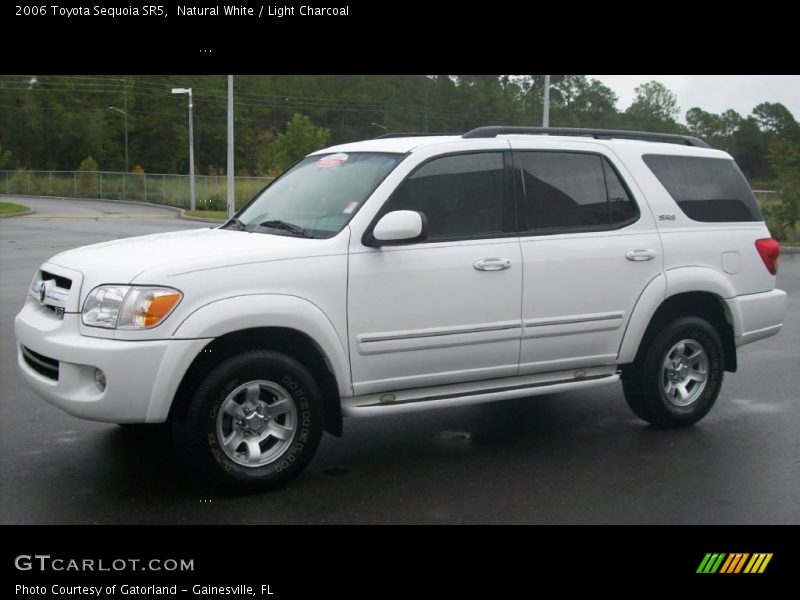 Natural White / Light Charcoal 2006 Toyota Sequoia SR5
