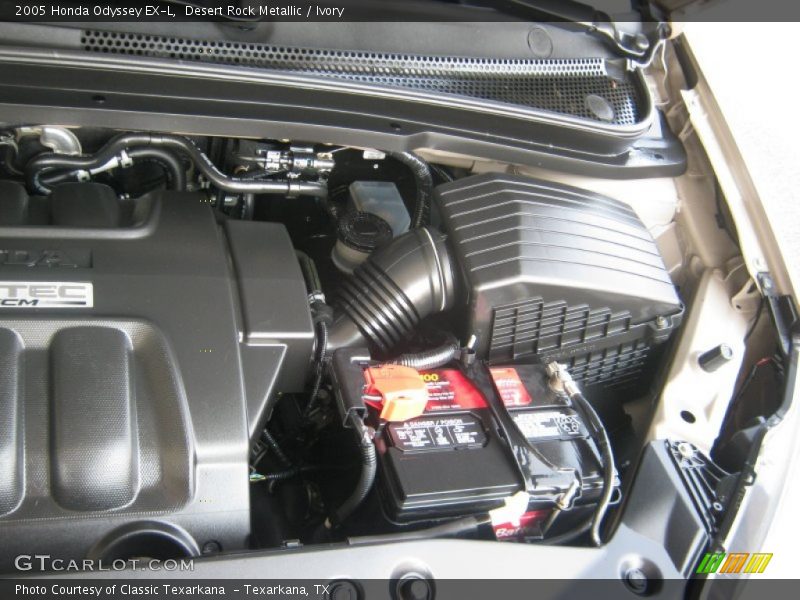 Desert Rock Metallic / Ivory 2005 Honda Odyssey EX-L