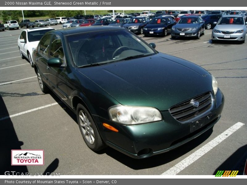 Sherwood Green Metallic / Frost 2000 Nissan Maxima GLE