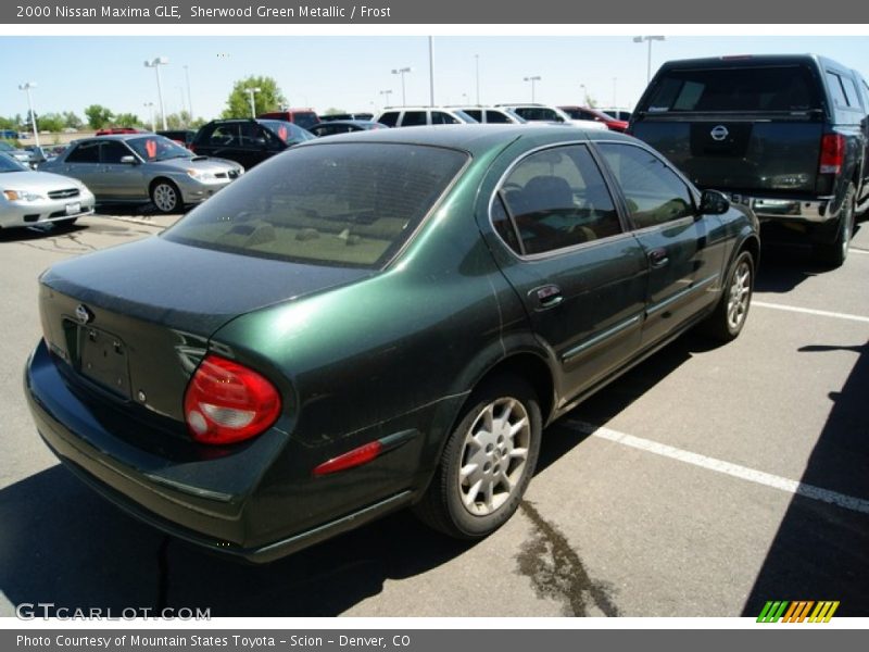 Sherwood Green Metallic / Frost 2000 Nissan Maxima GLE