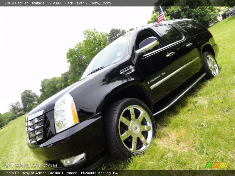 Black Raven / Ebony/Ebony 2009 Cadillac Escalade ESV AWD