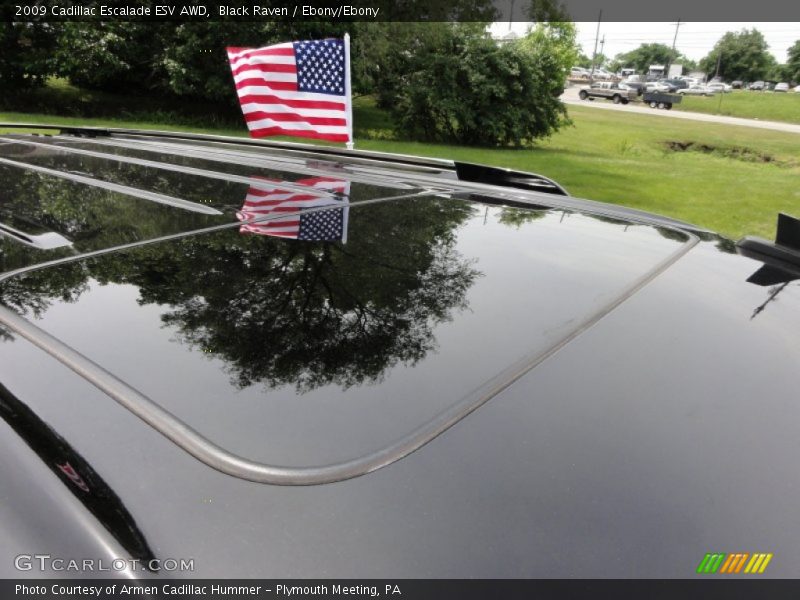 Black Raven / Ebony/Ebony 2009 Cadillac Escalade ESV AWD
