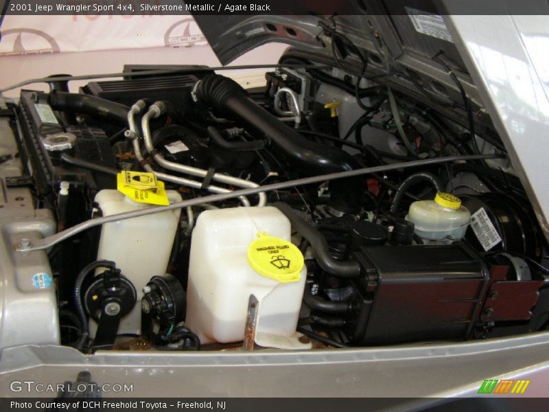 Silverstone Metallic / Agate Black 2001 Jeep Wrangler Sport 4x4