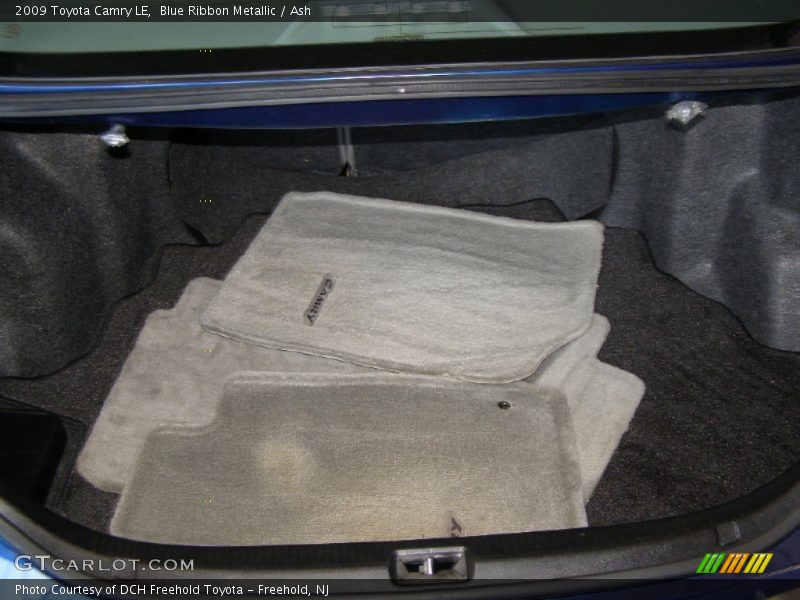 Blue Ribbon Metallic / Ash 2009 Toyota Camry LE
