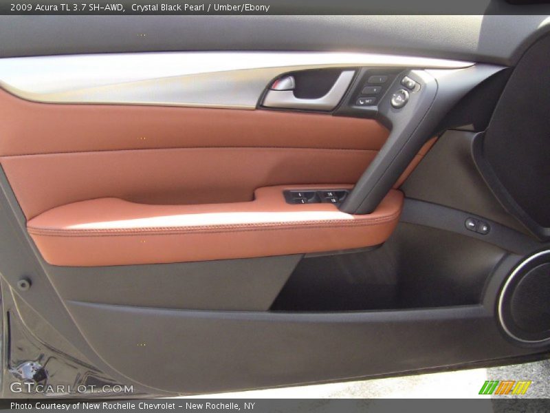 Door Panel of 2009 TL 3.7 SH-AWD