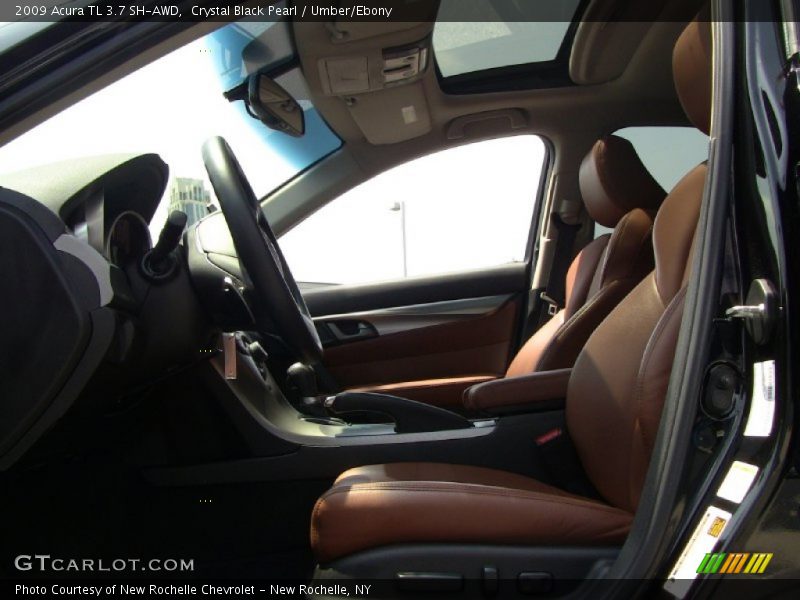  2009 TL 3.7 SH-AWD Umber/Ebony Interior