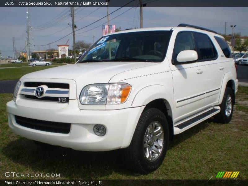 Natural White / Light Charcoal 2005 Toyota Sequoia SR5