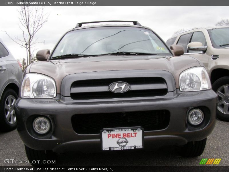 Mocha Frost Beige / Beige 2005 Hyundai Santa Fe GLS
