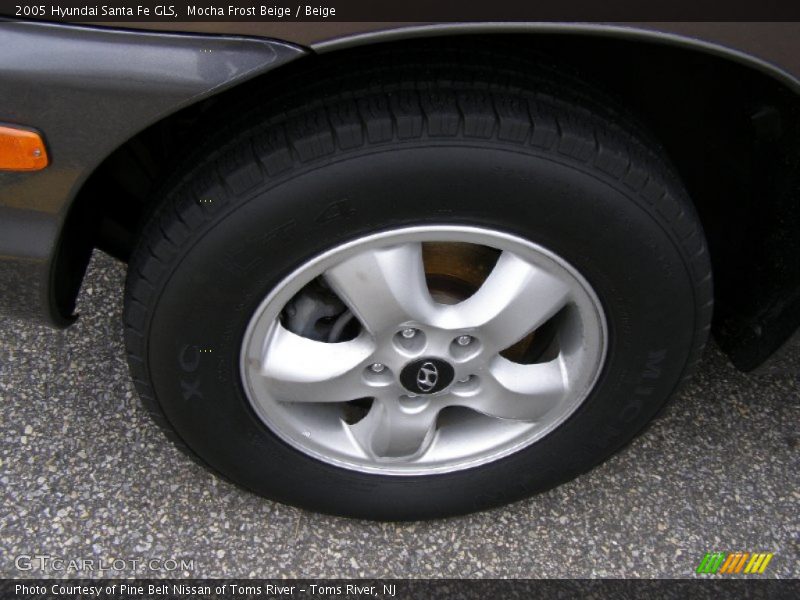 Mocha Frost Beige / Beige 2005 Hyundai Santa Fe GLS
