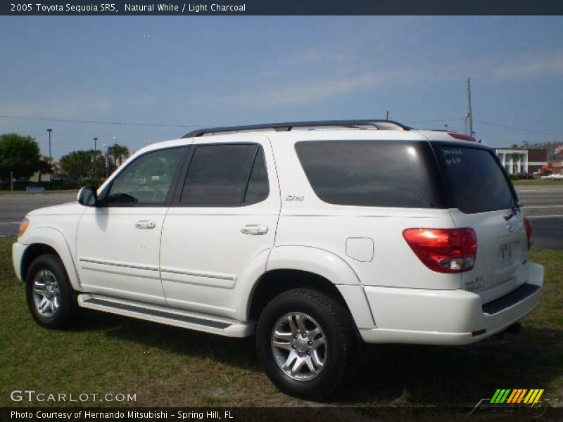 Natural White / Light Charcoal 2005 Toyota Sequoia SR5