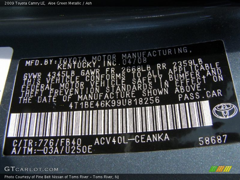 Aloe Green Metallic / Ash 2009 Toyota Camry LE