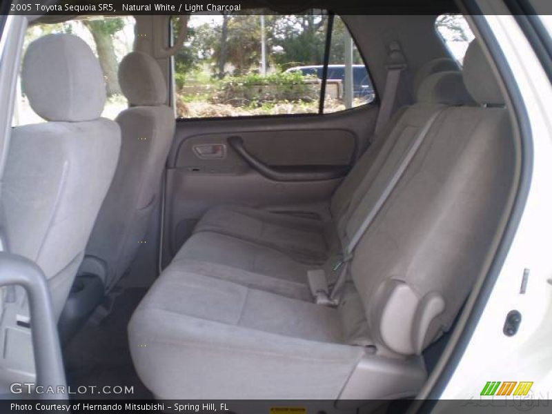 Natural White / Light Charcoal 2005 Toyota Sequoia SR5