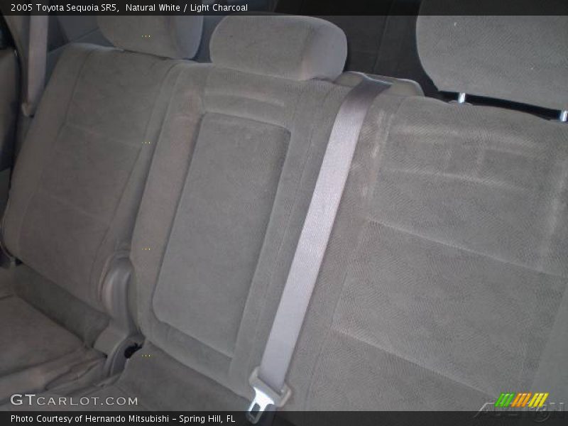 Natural White / Light Charcoal 2005 Toyota Sequoia SR5