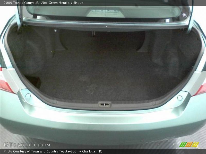 Aloe Green Metallic / Bisque 2009 Toyota Camry LE