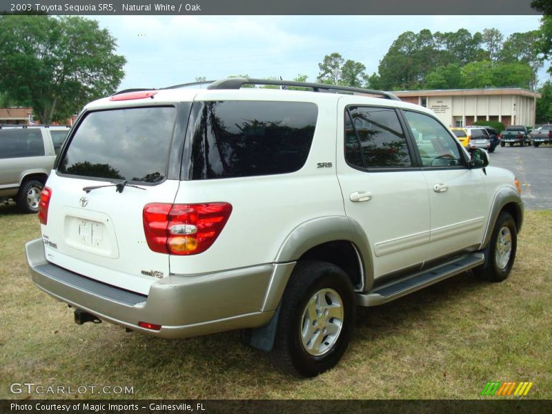 Natural White / Oak 2003 Toyota Sequoia SR5