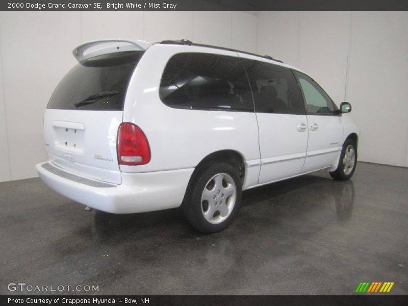 Bright White / Mist Gray 2000 Dodge Grand Caravan SE