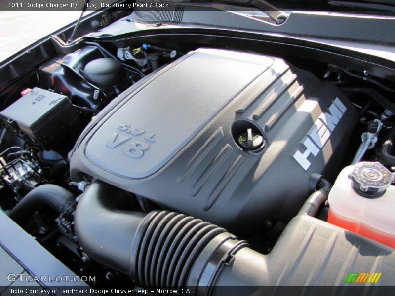 Blackberry Pearl / Black 2011 Dodge Charger R/T Plus