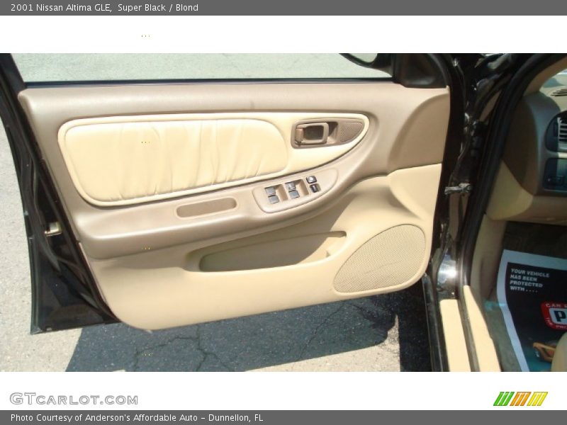 Door Panel of 2001 Altima GLE