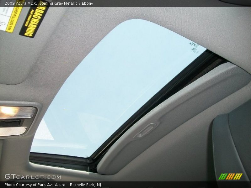 Sterling Gray Metallic / Ebony 2009 Acura MDX