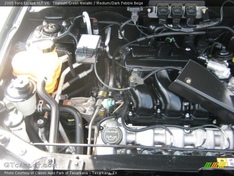 Titanium Green Metallic / Medium/Dark Pebble Beige 2005 Ford Escape XLT V6