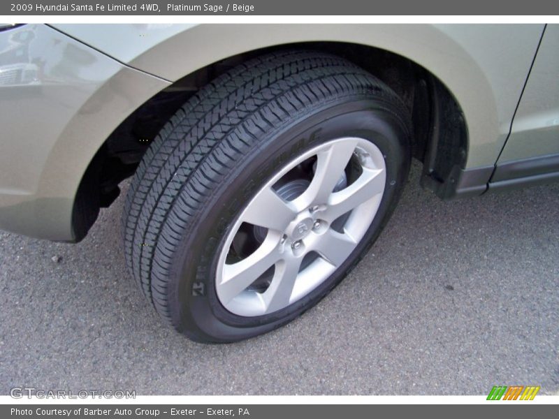Platinum Sage / Beige 2009 Hyundai Santa Fe Limited 4WD
