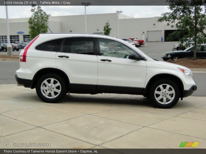  2009 CR-V EX Taffeta White