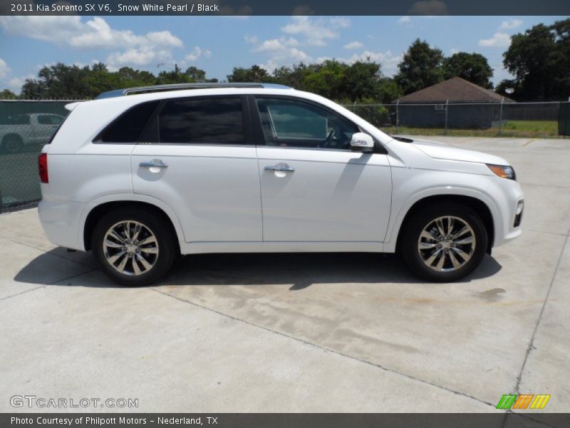  2011 Sorento SX V6 Snow White Pearl
