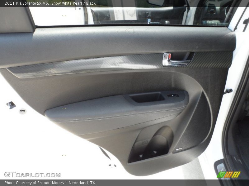 Door Panel of 2011 Sorento SX V6