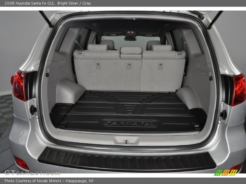 Bright Silver / Gray 2008 Hyundai Santa Fe GLS