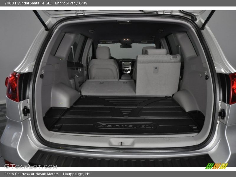 Bright Silver / Gray 2008 Hyundai Santa Fe GLS