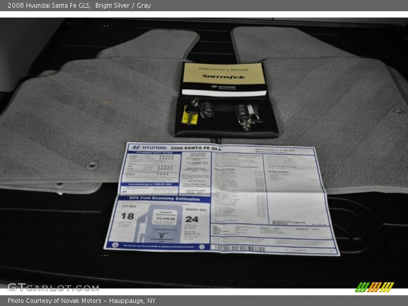 Bright Silver / Gray 2008 Hyundai Santa Fe GLS